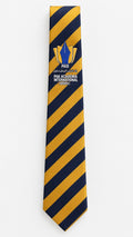 PAIS School Boys Uniform Senior Tie