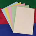 A4 Multi Colour Papers (100 Sheets)