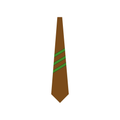 Seeds School Boys Uniform Tie - Study Resources