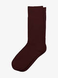 Seeds School Uniform Socks - Study Resources